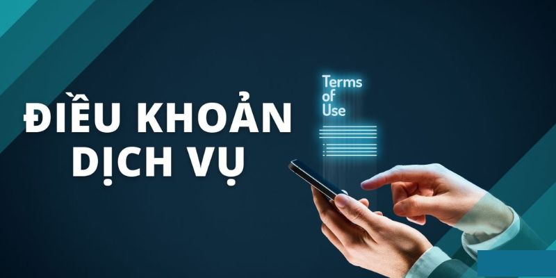 Điều khoản về các khuyến mãi