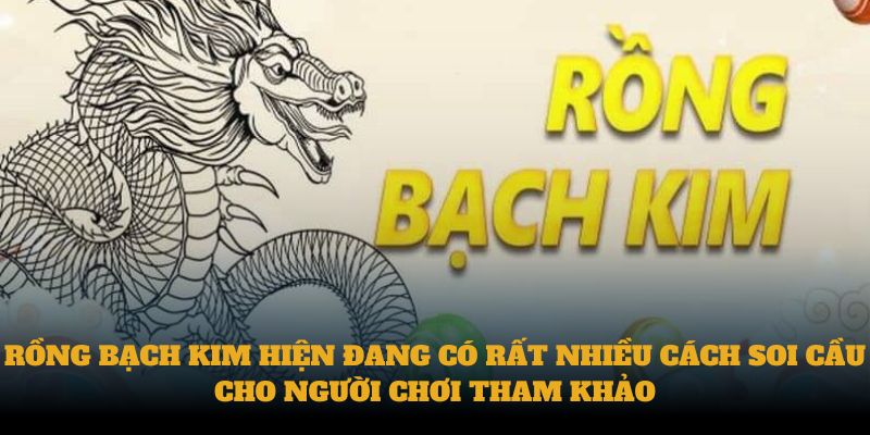 Rồng bạch kim hiện đang có rất nhiều cách soi cầu cho người chơi tham khảo