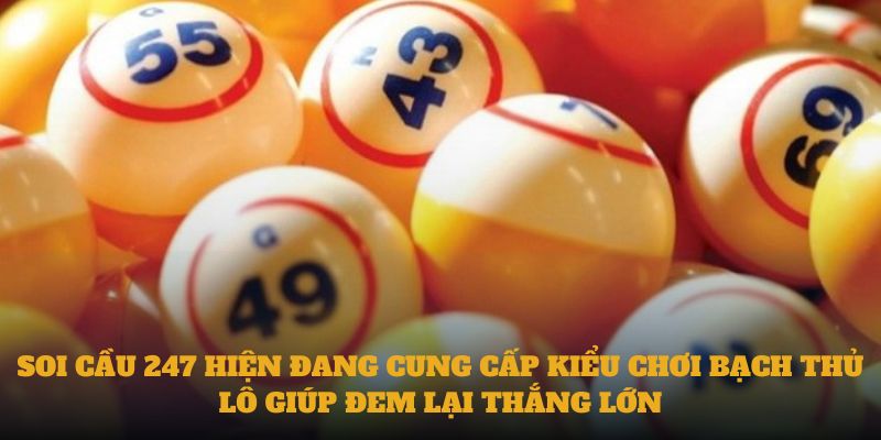 Soi cầu 247 hiện đang cung cấp kiểu chơi bạch thủ lô giúp đem lại thắng lớn