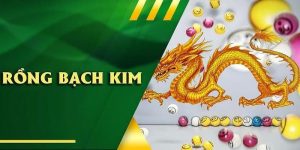 Soi Cầu Rồng Bạch Kim